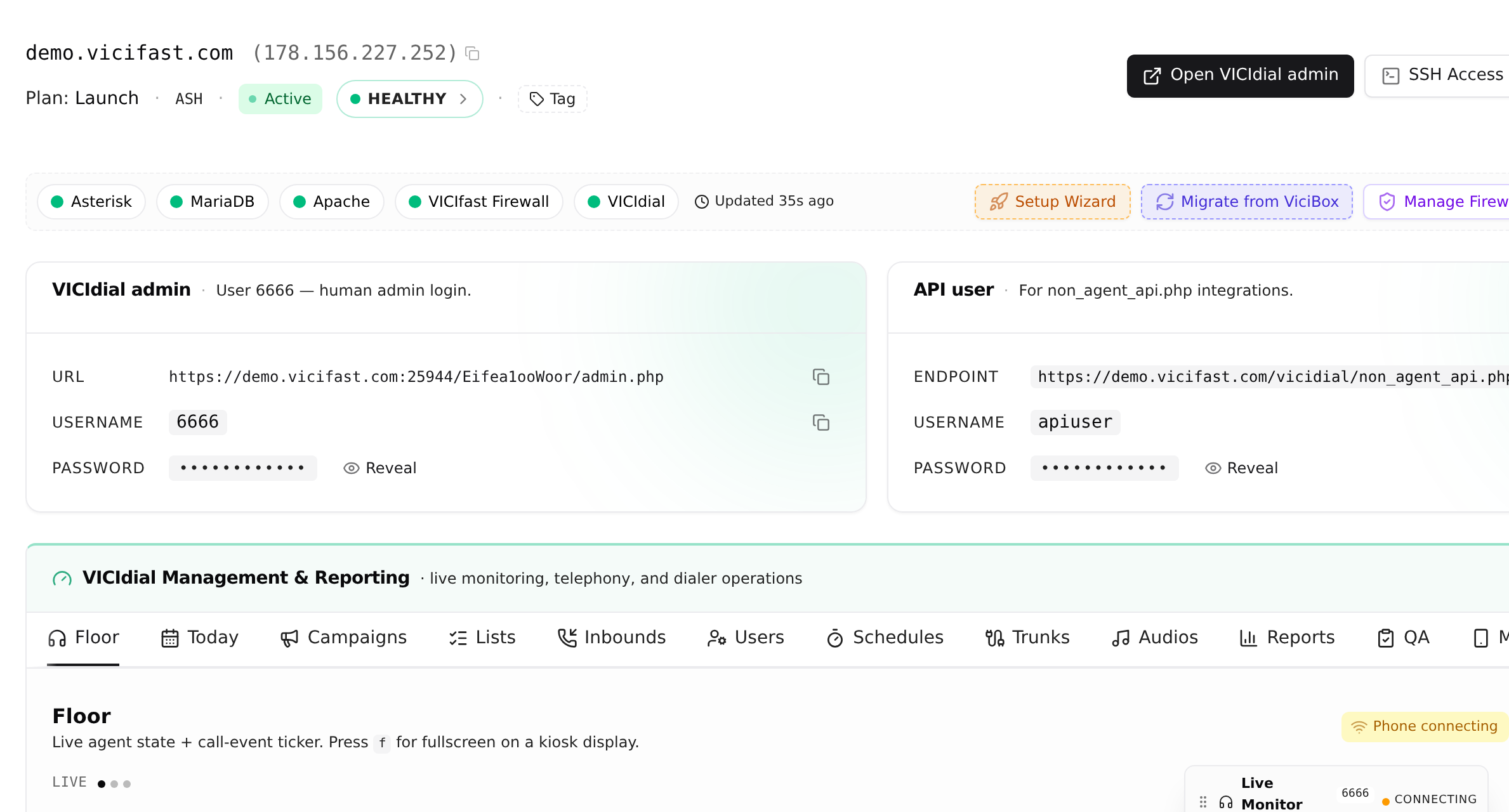 Server detail — VICIfast dashboard screenshot